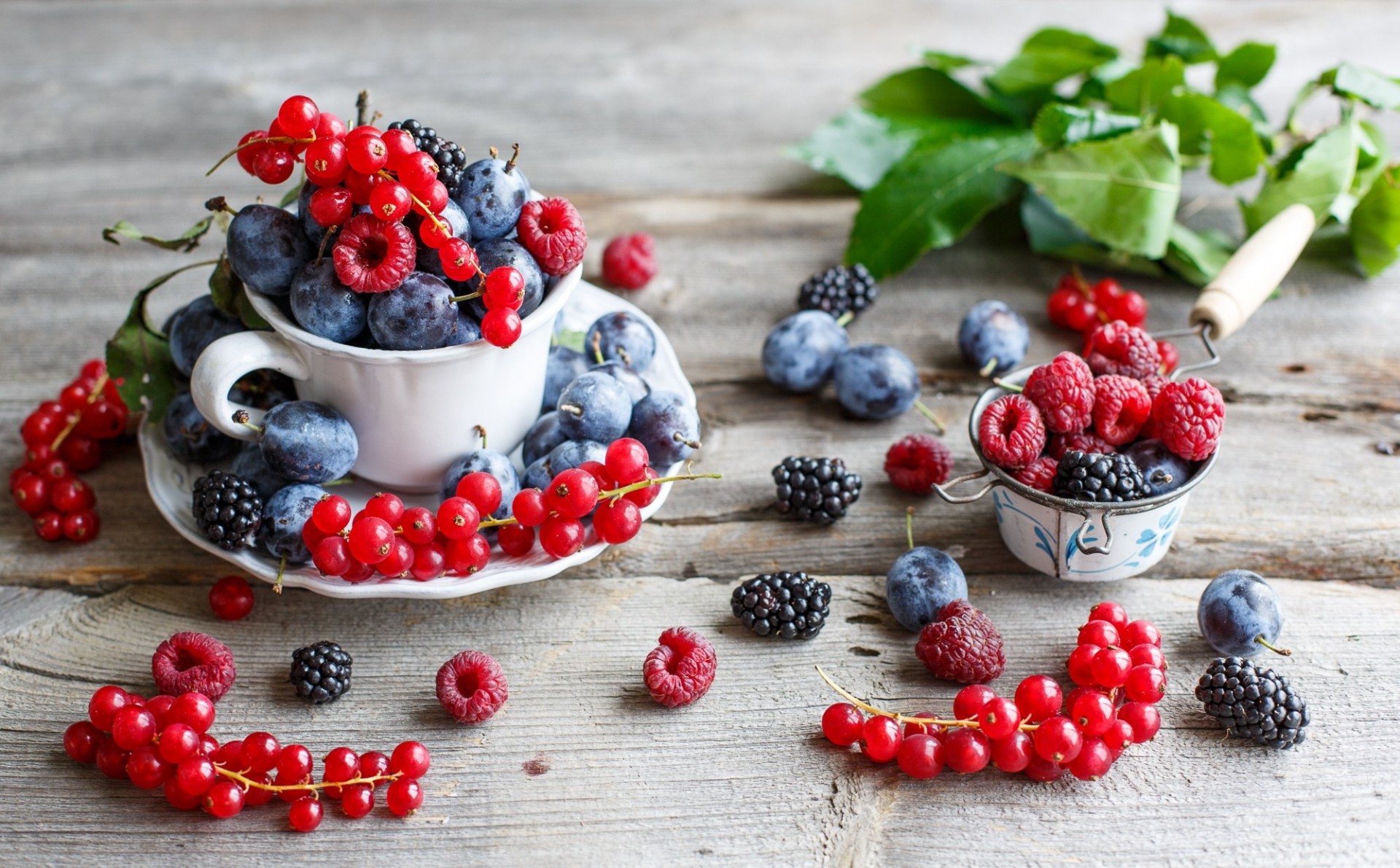 plum berries red currant raspberry blackberry