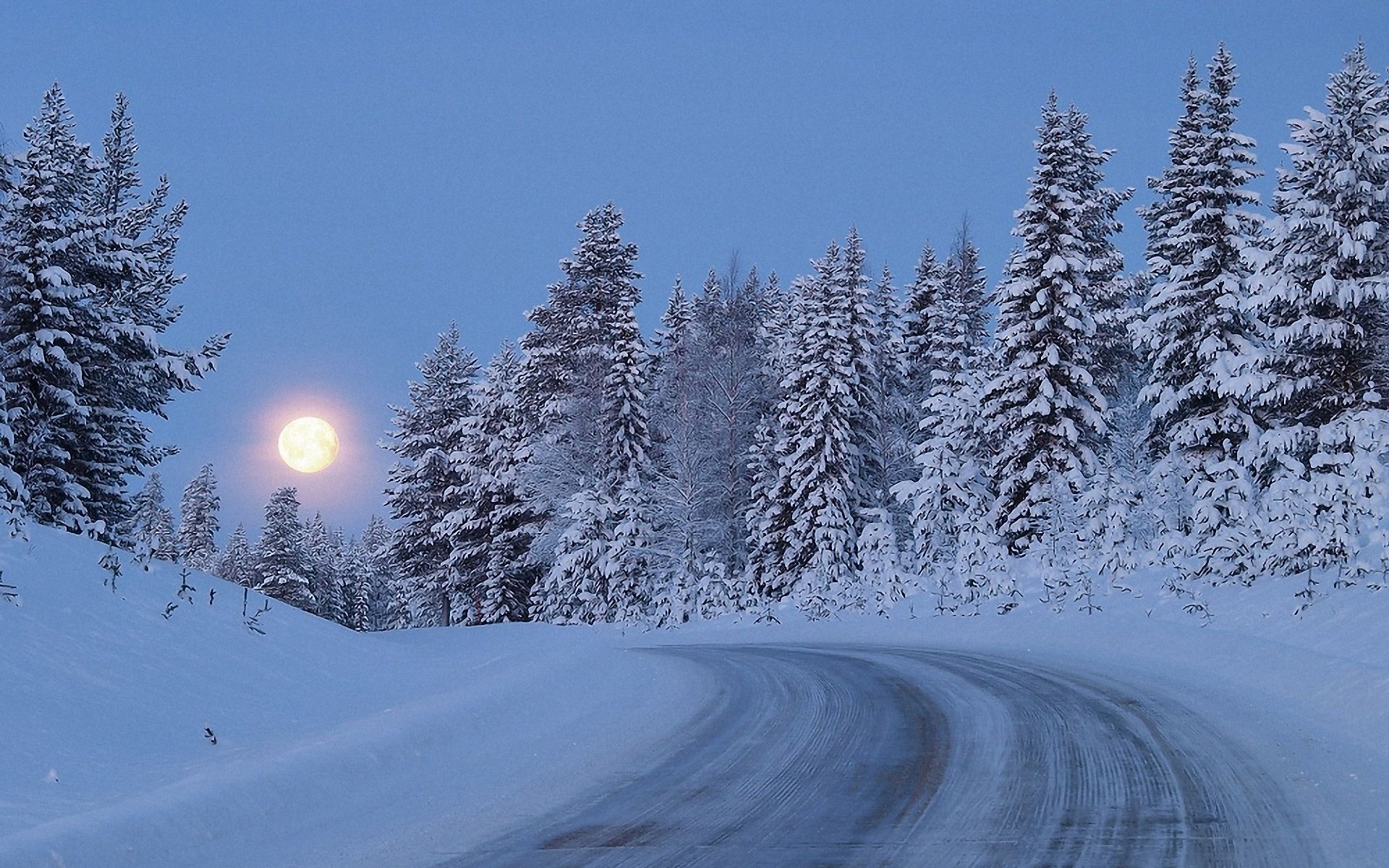 inverno neve crepuscolo alberi luna foresta strada