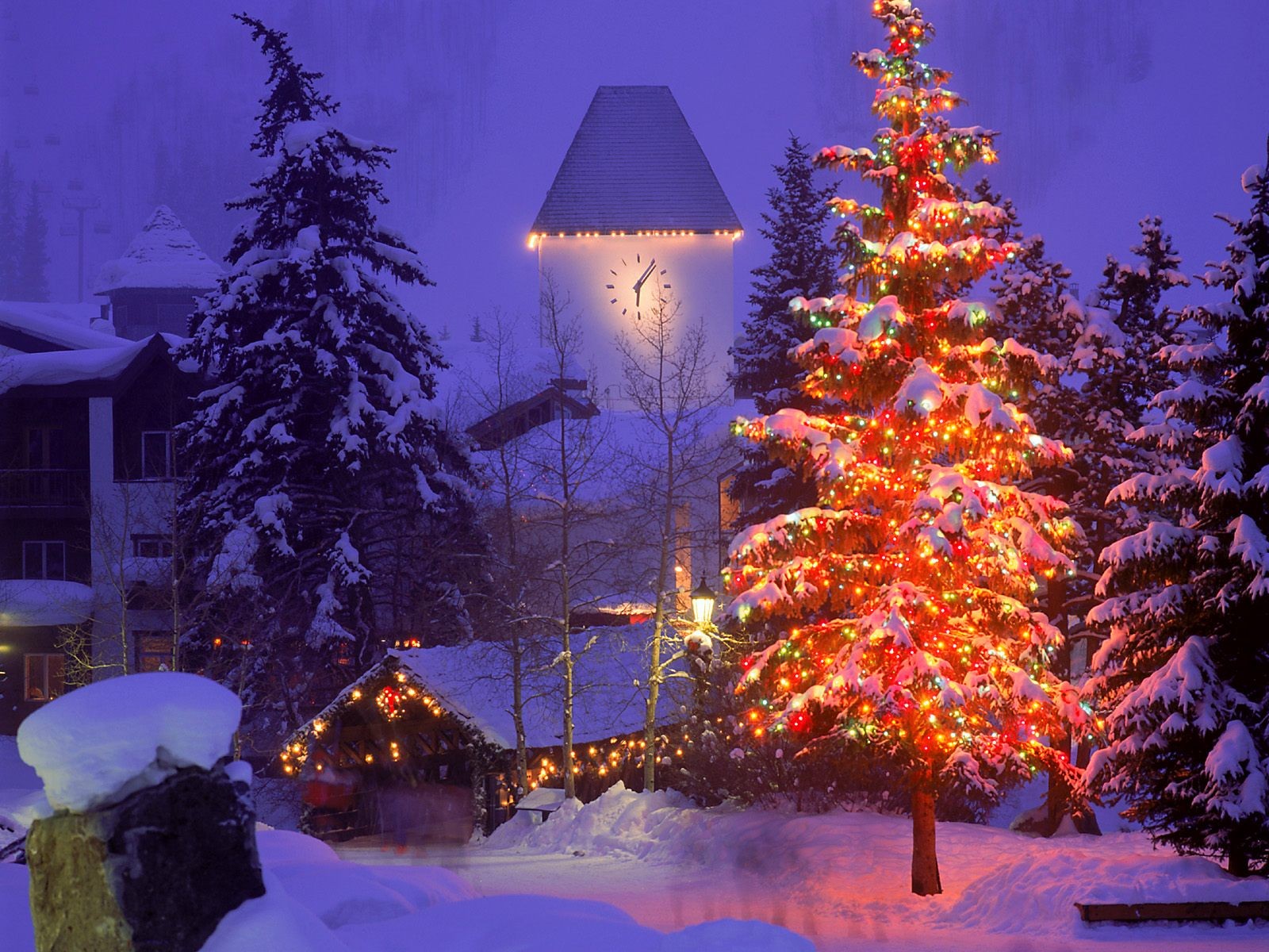 capodanno albero di natale città inverno neve