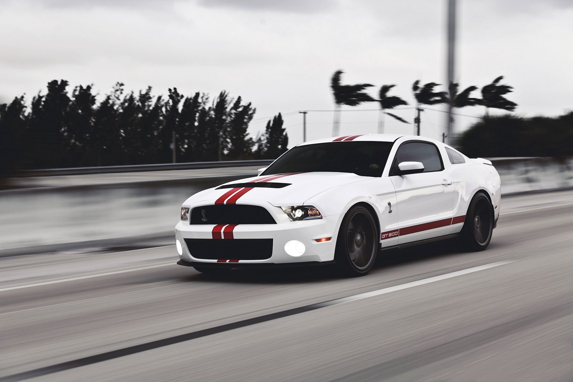 ford mustang gt500 shelby coche del músculo blanco muscle car carretera velocidad rayas rojas