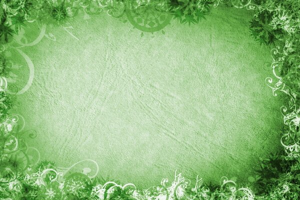 Texture des feuilles sur fond vert