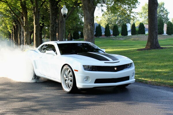 Chevrolet Camaro car blows smoke on the asphalt