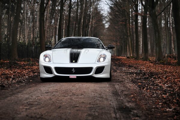 Ferrari blanche sur une route de campagne