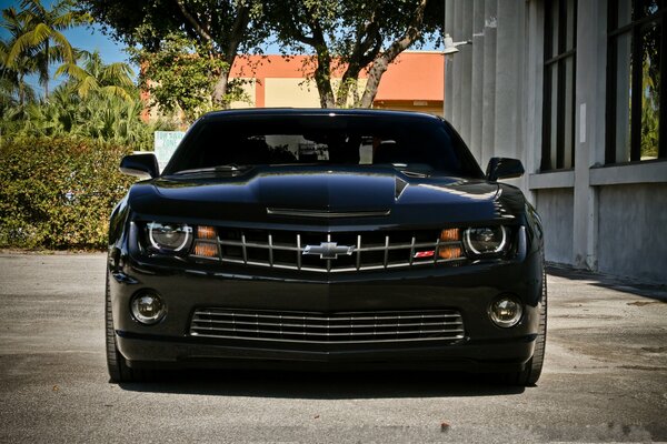 Черный chevrolet camaro ss в тонировке у здания