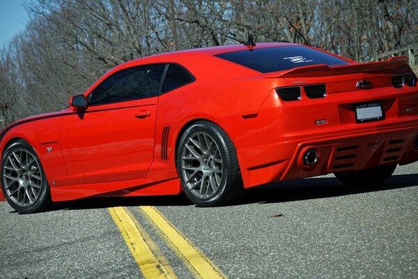 Red Chevrolet Camaro on the background of a bare forest