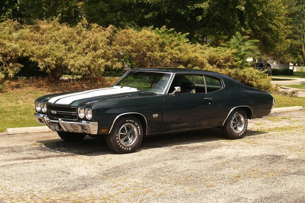 A rare Chevrolet with white stripes