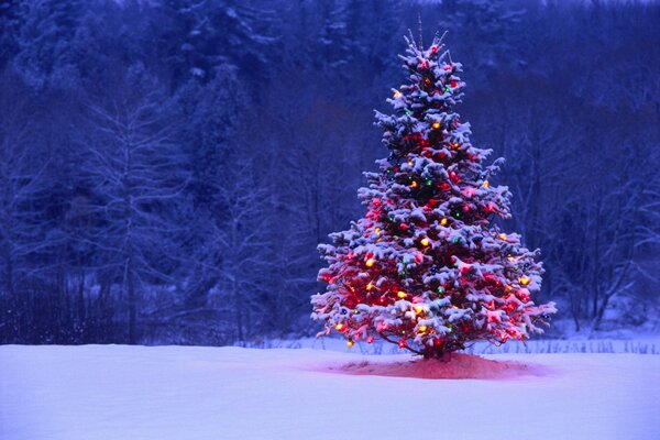 Luces y luces en el árbol de Navidad contra la nieve