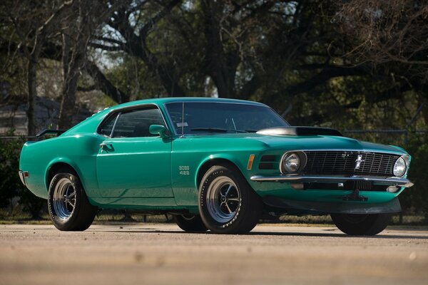 Ford Mustang vert debout sur la route