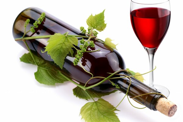 Bottiglia di vino rosso in vite