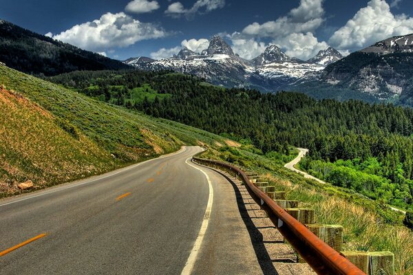 The mountain road turns into a green forest