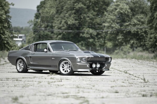 Belle Ford Mustang sur une vieille piste