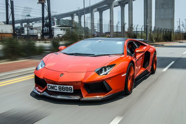 Vue de face sur orange lamborghini aventador lp900 - 4 molto veloce