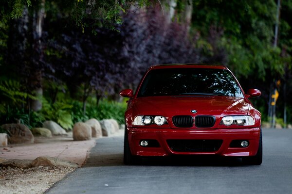 Ein roter BMW, der von Bäumen umgeben ist