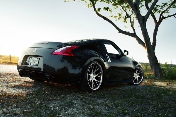 Junto a un árbol, un Nissan 370Z adorna la naturaleza