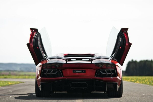 A red Lamborghini Aventador stands on the road with the doors open