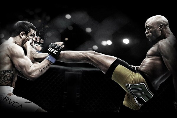 Kick, mma, anderson silva