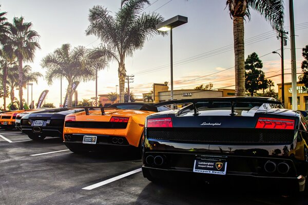 Voitures de sport dans le parking