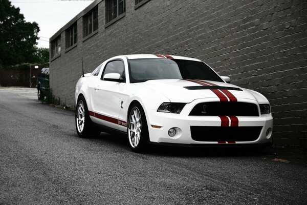 Ford gt500 white on the background of the building