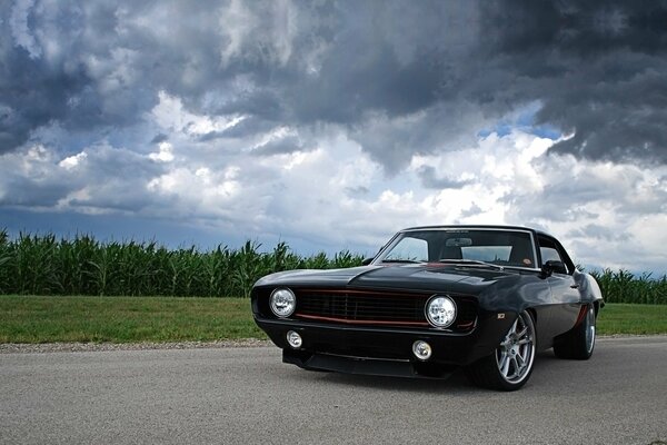 Chevrolet Camaro on the road along the field under the clouds