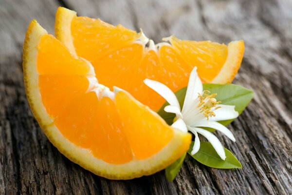 Rodajas de naranja con una flor blanca en la mesa