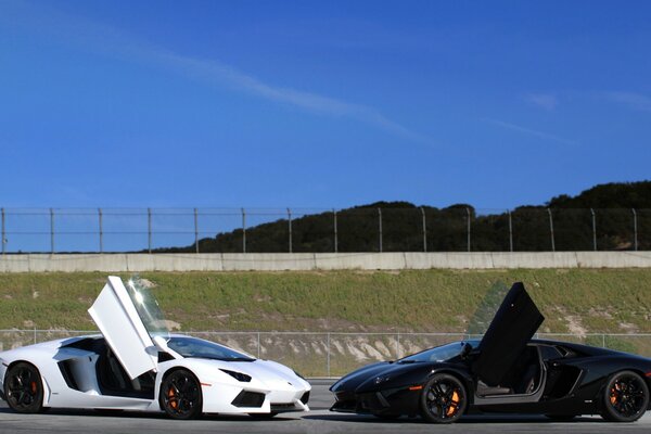 Black and white Lamborghini aventador with open doors