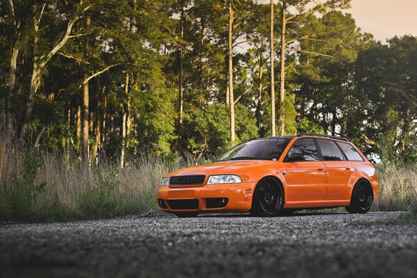 Orange Audi Auto auf der Straße in einem Waldgebiet