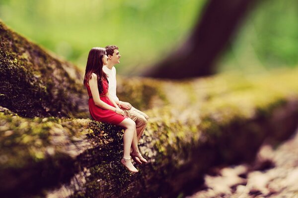 Pareja enamorada sentada en un árbol en el bosque