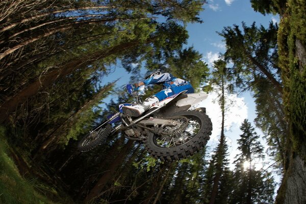 Motocross en un salto en un bosque de pinos