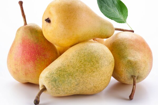 Fresh pears on a white background