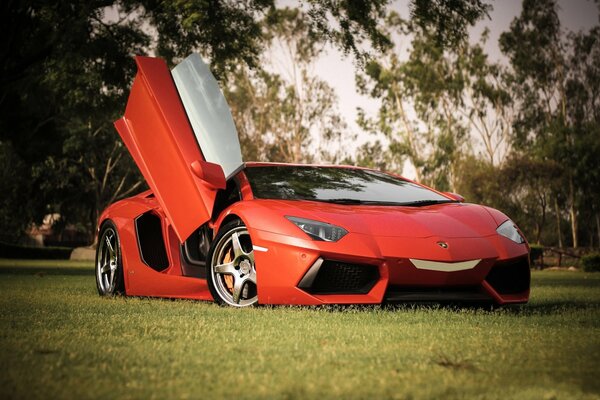 Lamborghini rojo en el césped con la puerta abierta