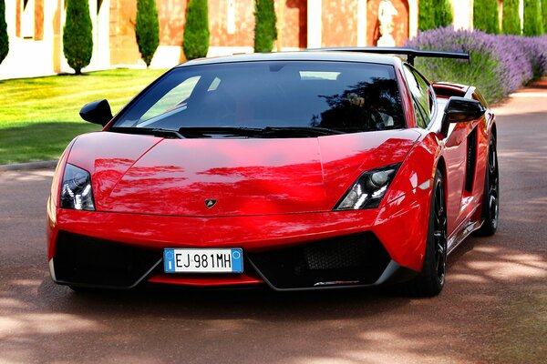 Belle voiture de sport rouge Lamborghini Gallardo