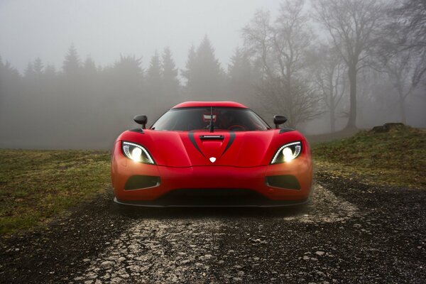 Roter koenigsegg Hypercar im Wald