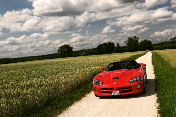 Belle voiture de sport rouge