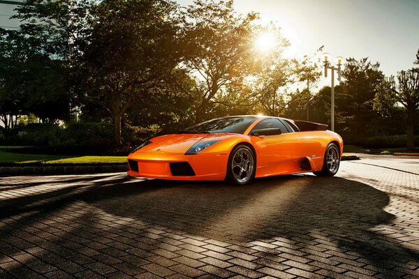 Orange lamborghini under the glare of the sun in the park