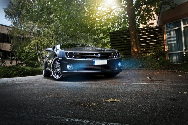 The new Camaro is on the street in front of the house and trees