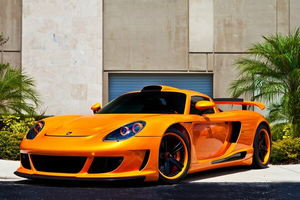 Orange Porsche on a background of palm trees