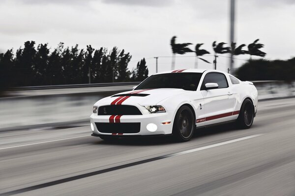 Ford Mustang à pleine vitesse sur la piste