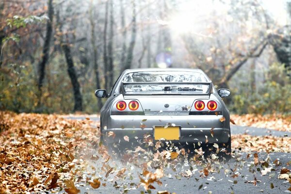 Nissan Skyline fährt im Herbstwald