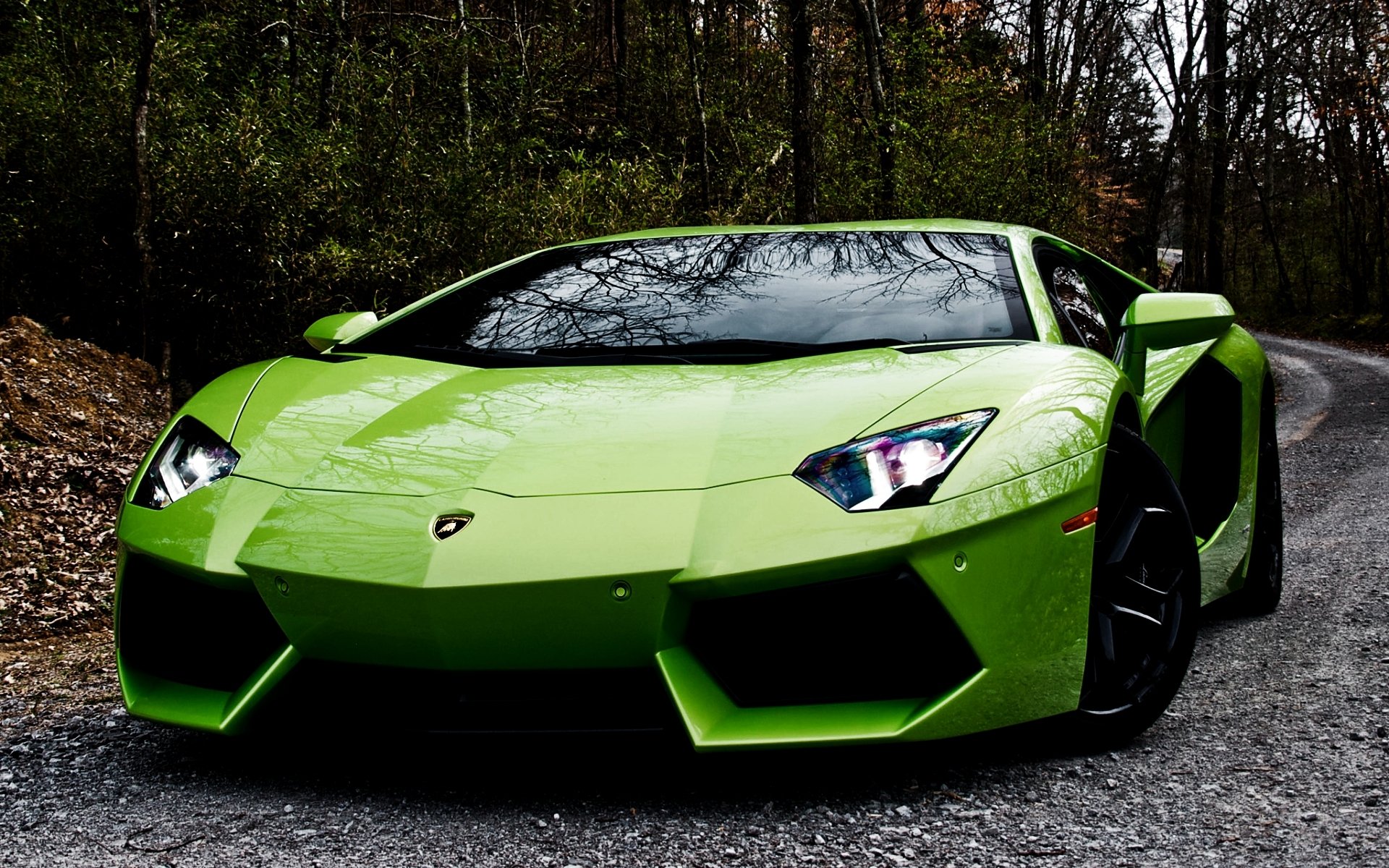 lamborghini aventador lp700-4 lamborghini aventaror supercar front end road forest