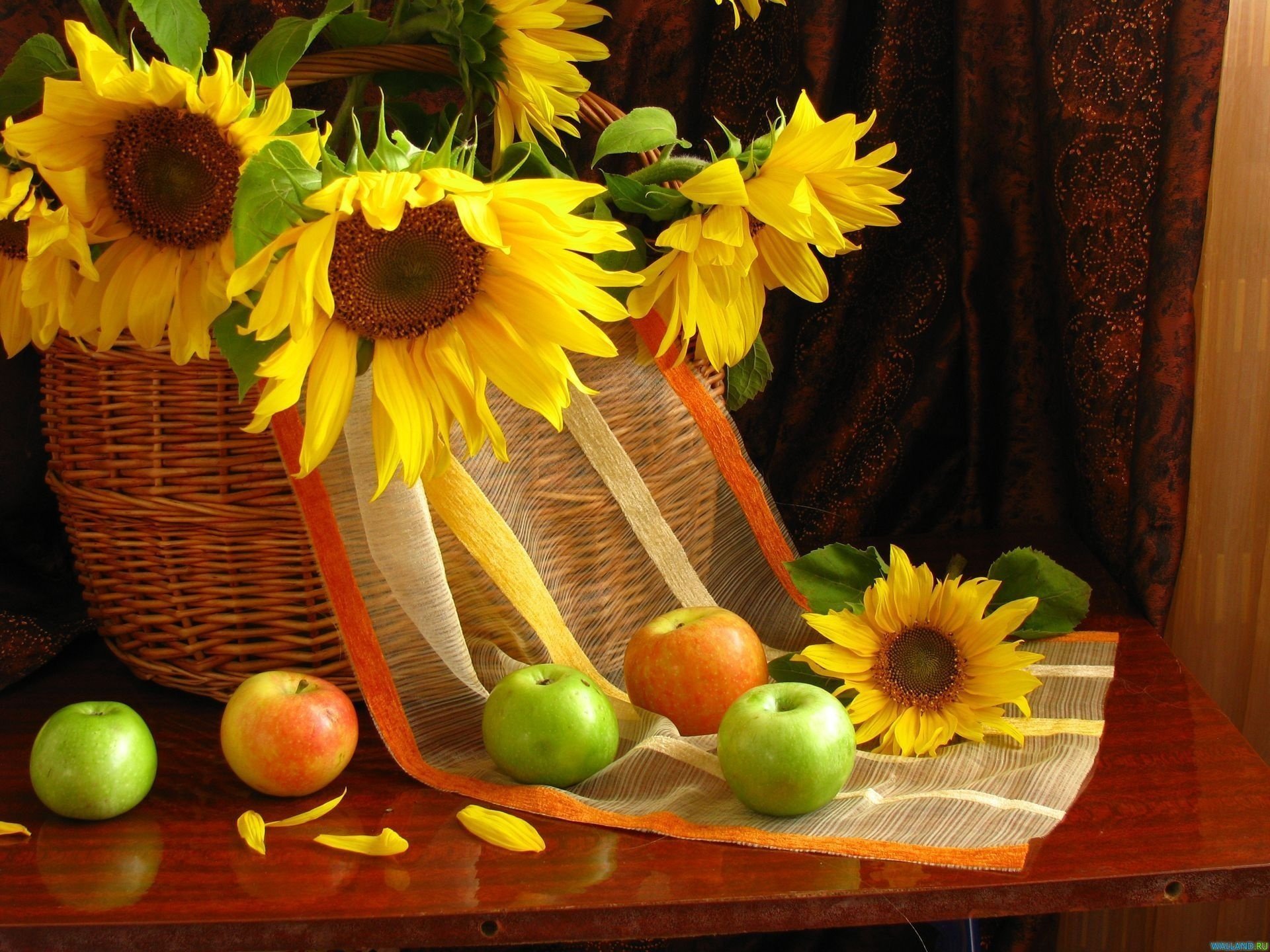 tournesols fleurs fruits pommes pétales nature morte