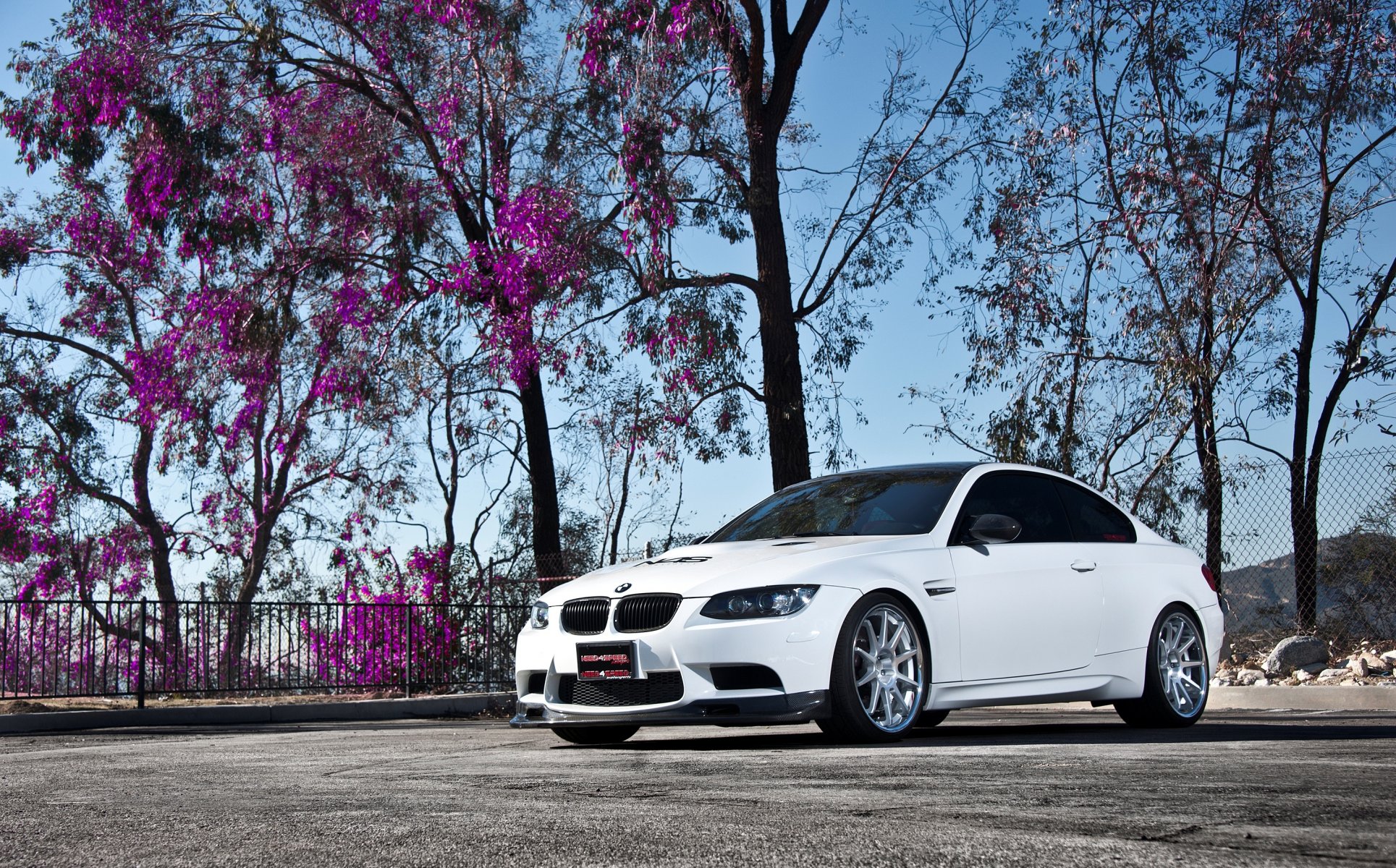 bmw m3 e92 blanco ruedas árbol bmw cielo hojas de color púrpura