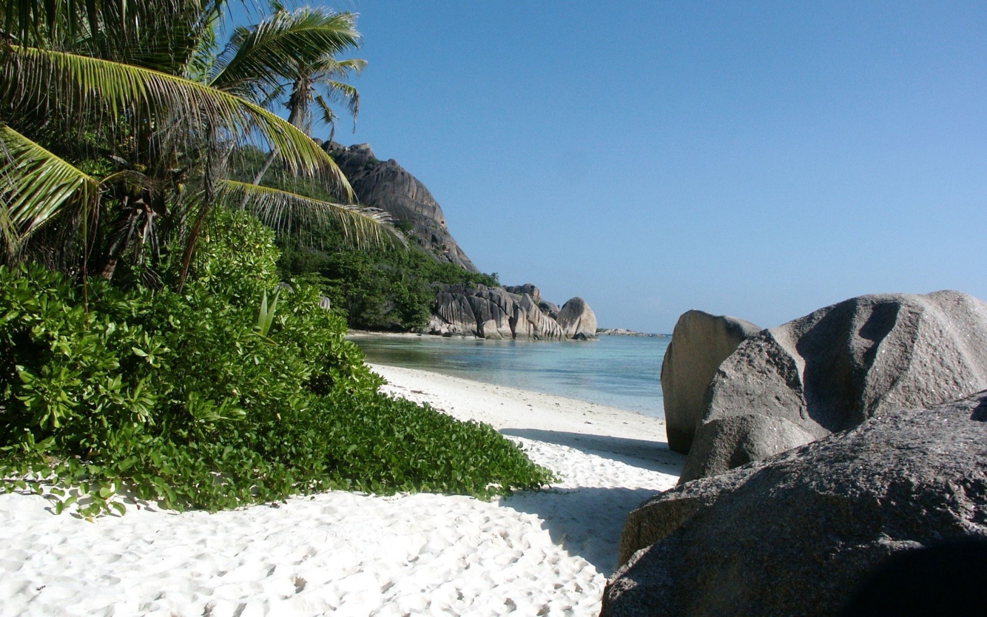 tropischer strand sand meer steine schilf