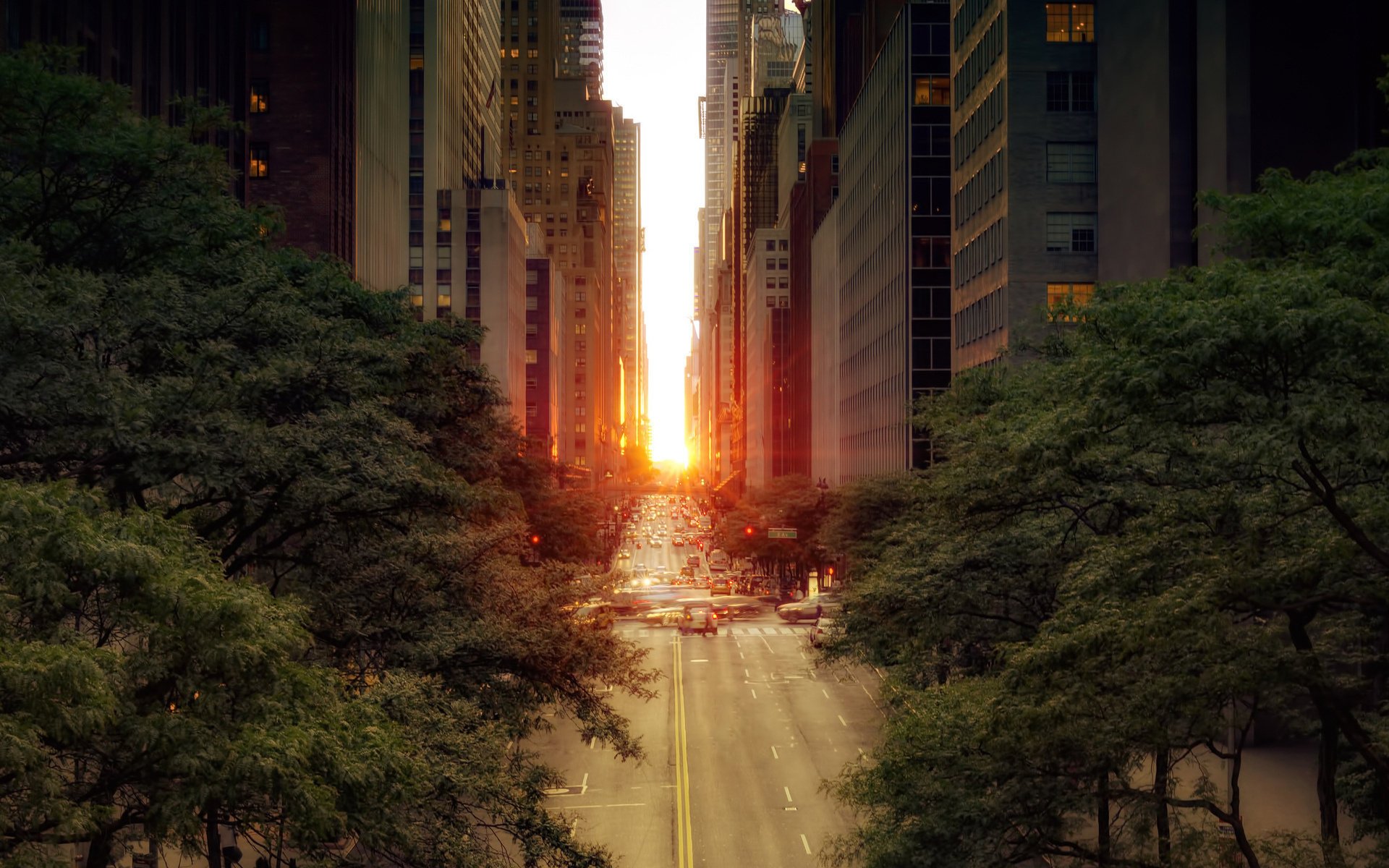 road the sun street the city machine foliage tree