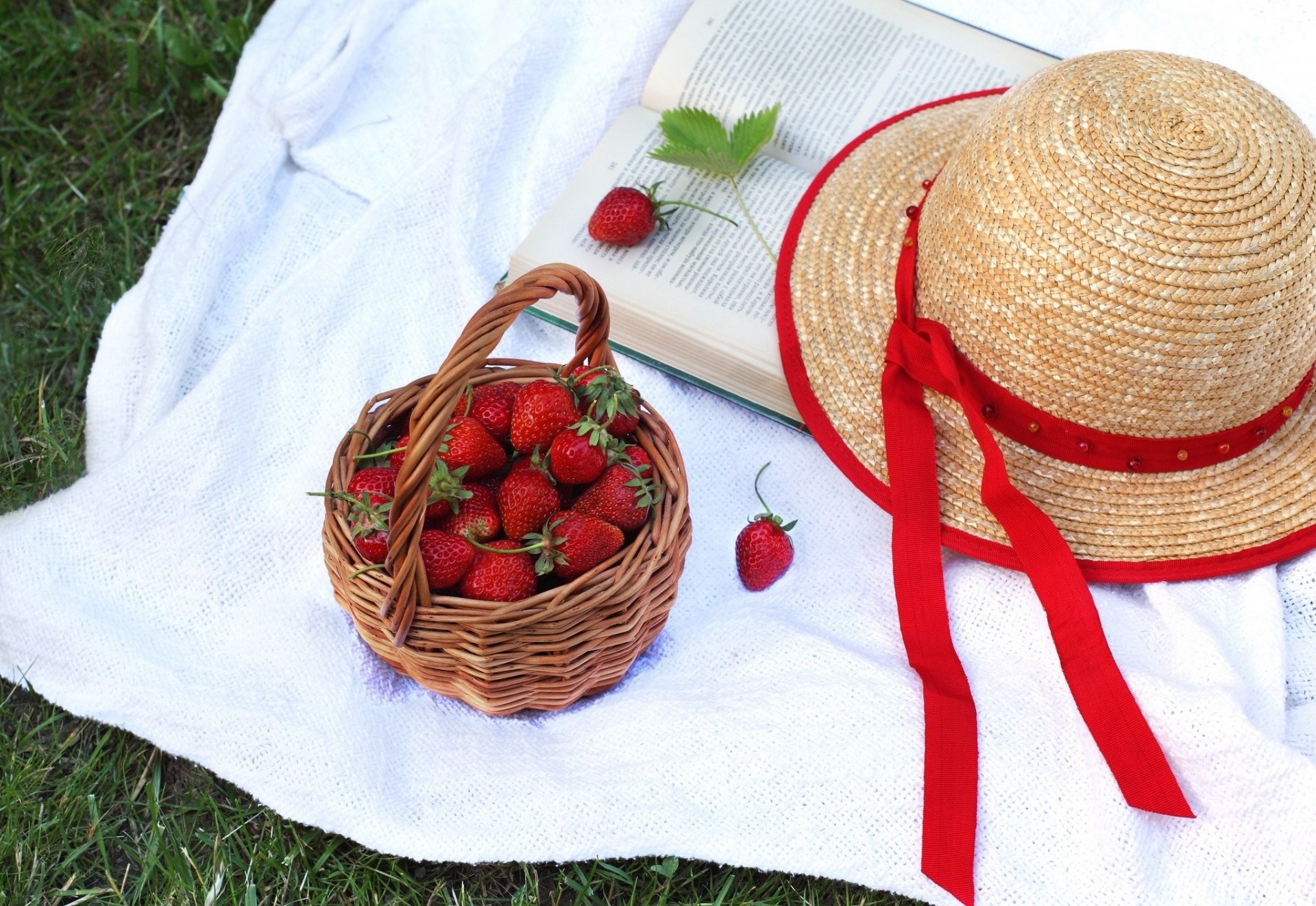 cestino bacche fragole libro cappello