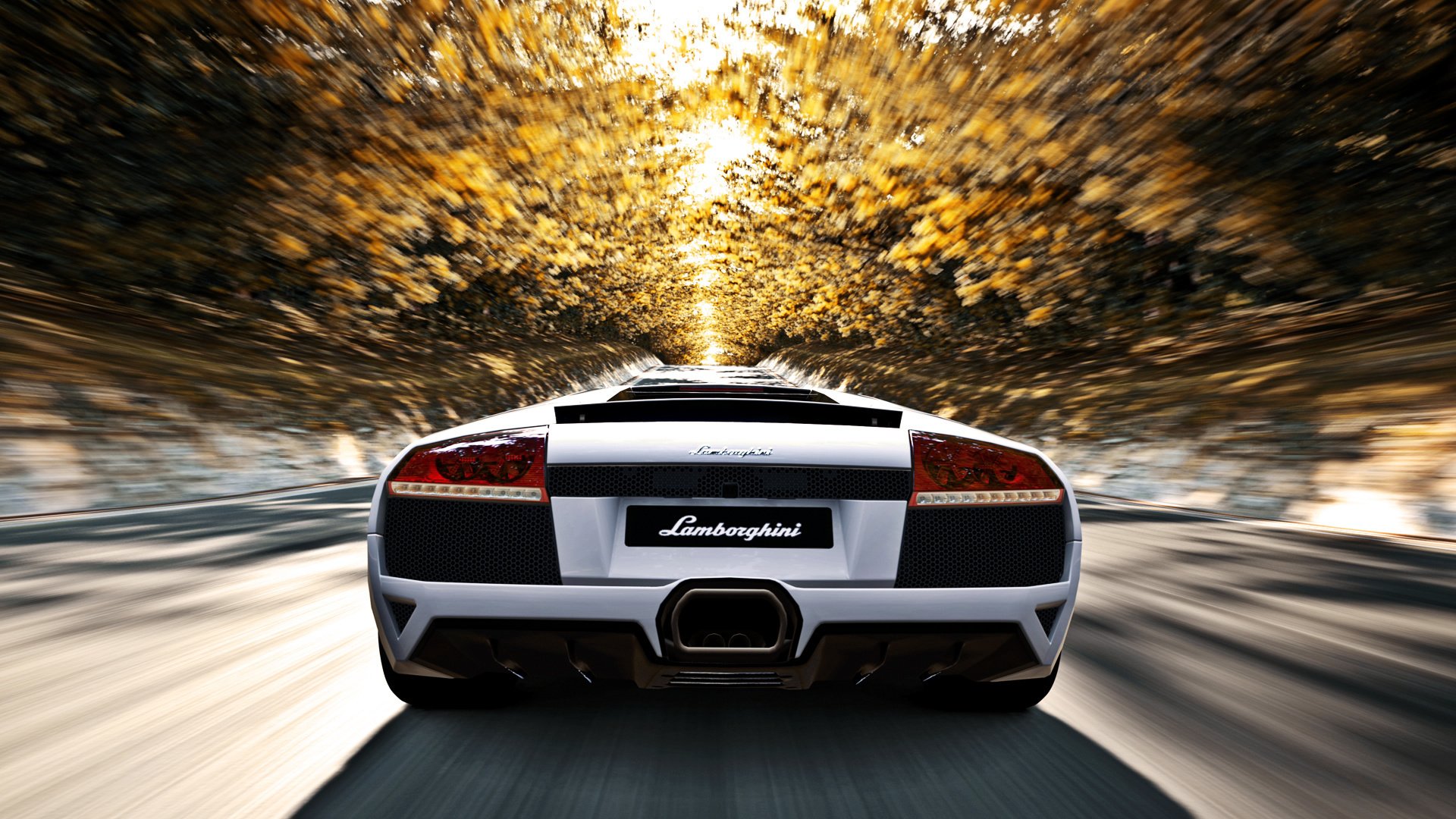 lamborghini murcielago lp640 route vitesse arbres automne soleil blanc lamborghini murcelago