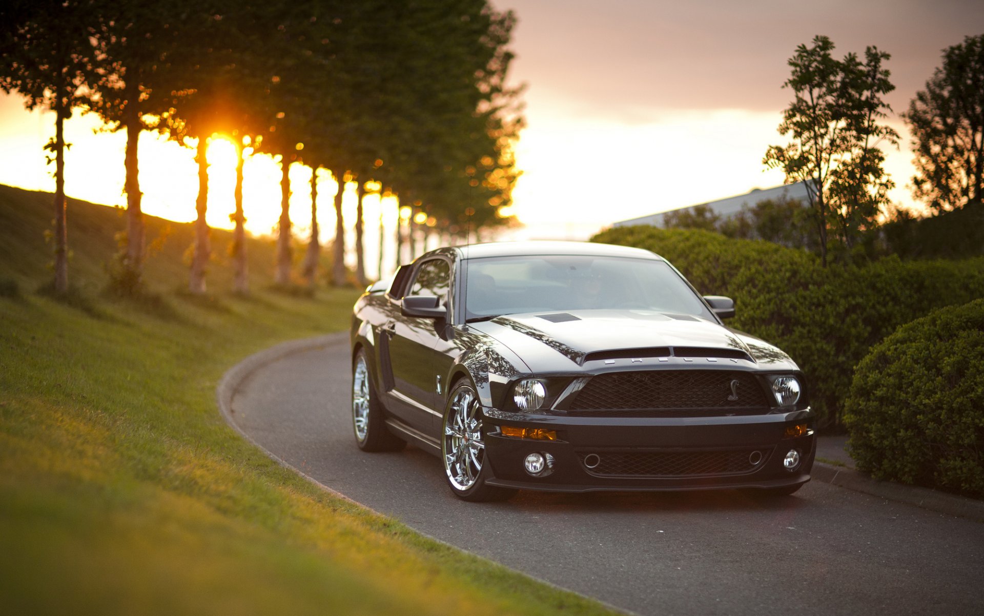 mustang samochód aleja droga