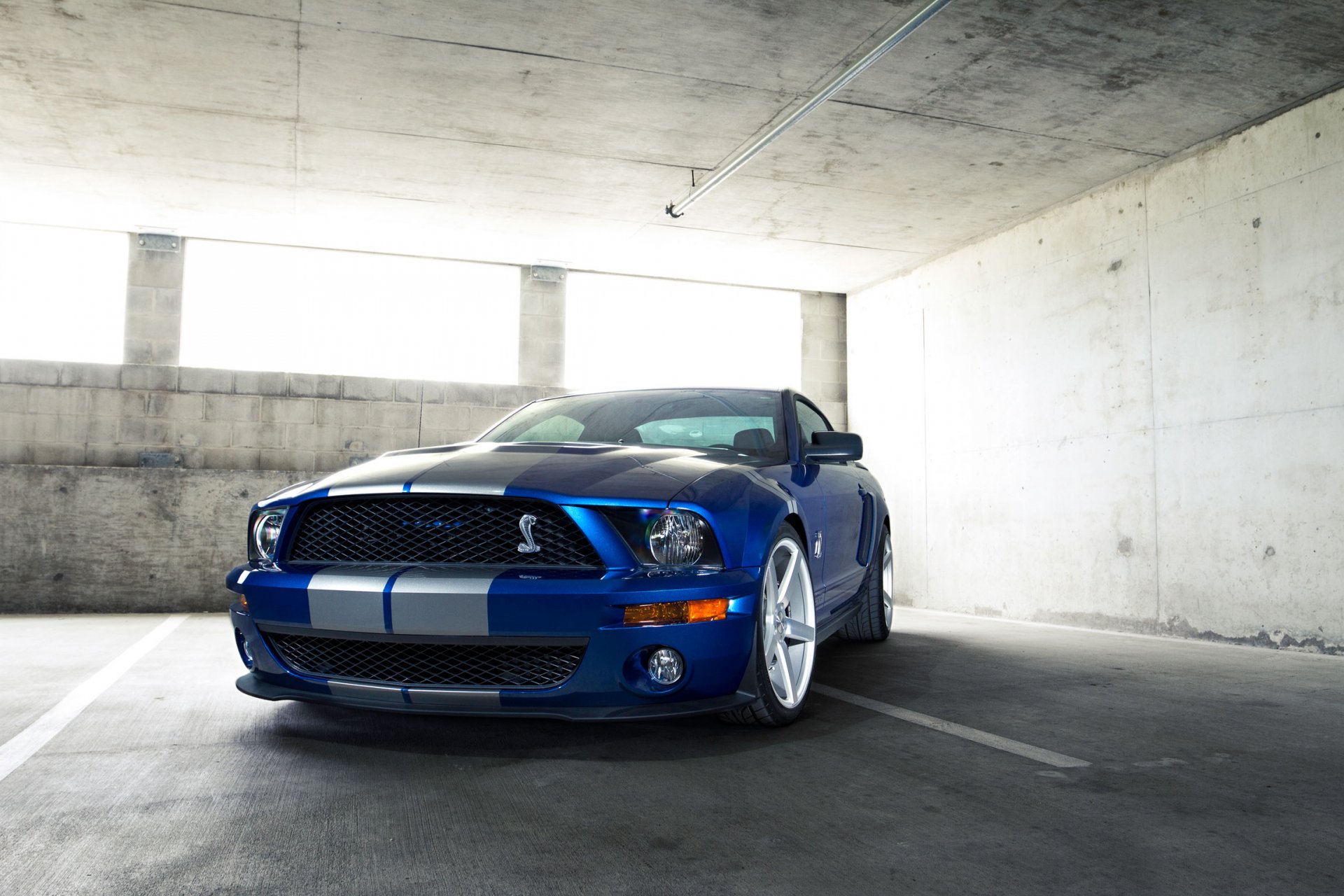 ford mustang gt500 shelby auto auto wallpaper blue stripes white stripe