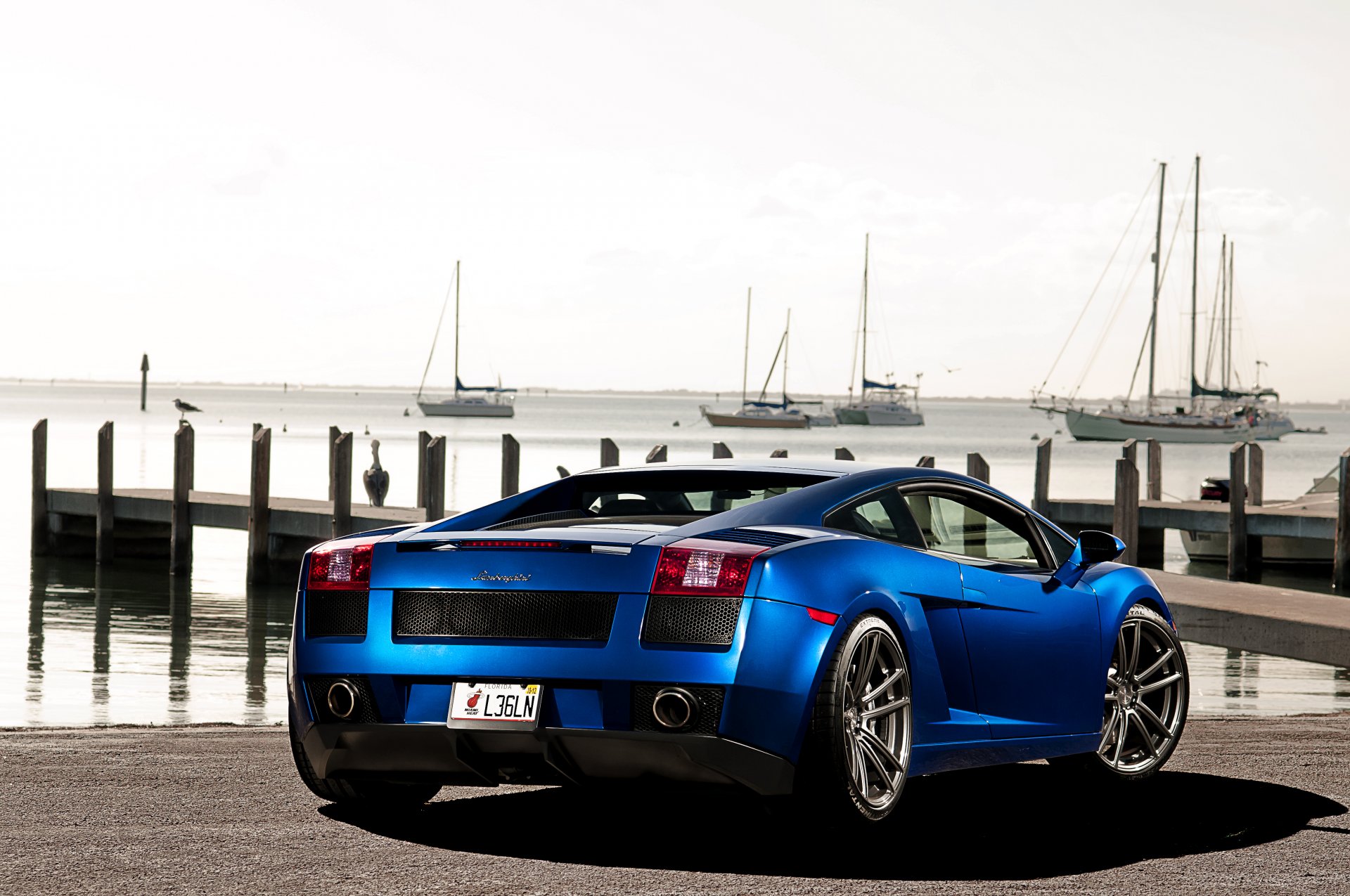 lamborghini gallardo blu lamborghini lamborghini gallardo posteriore cielo molo yacht