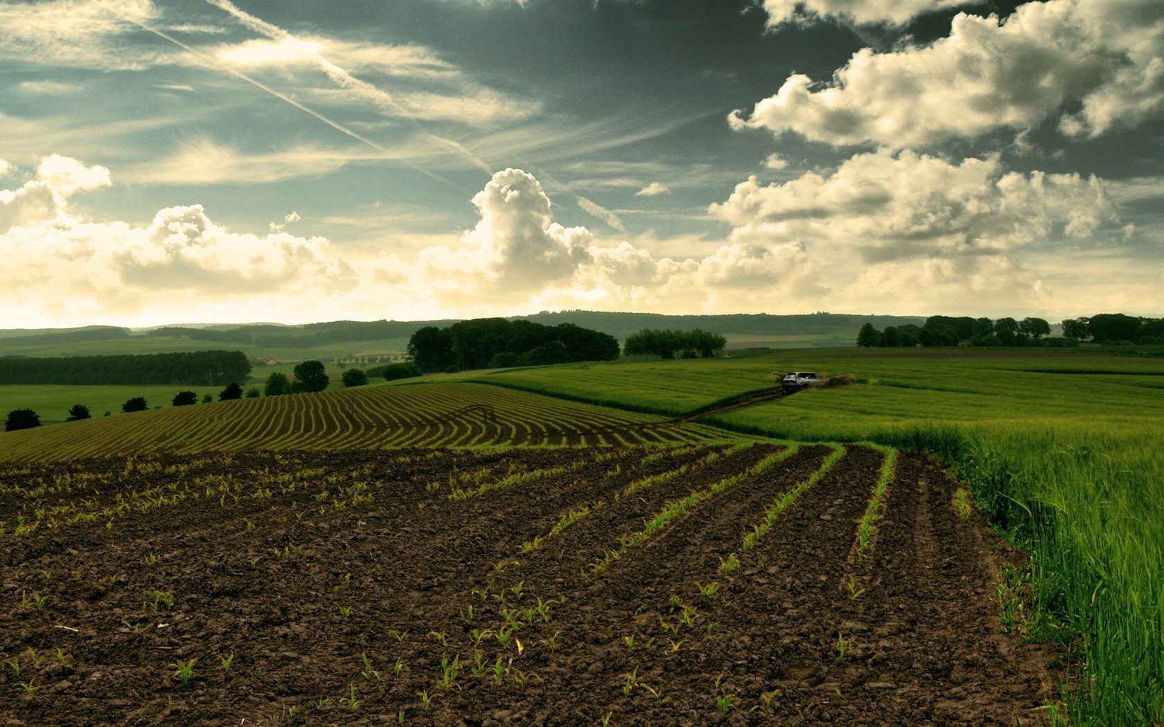 naturaleza campo cielo