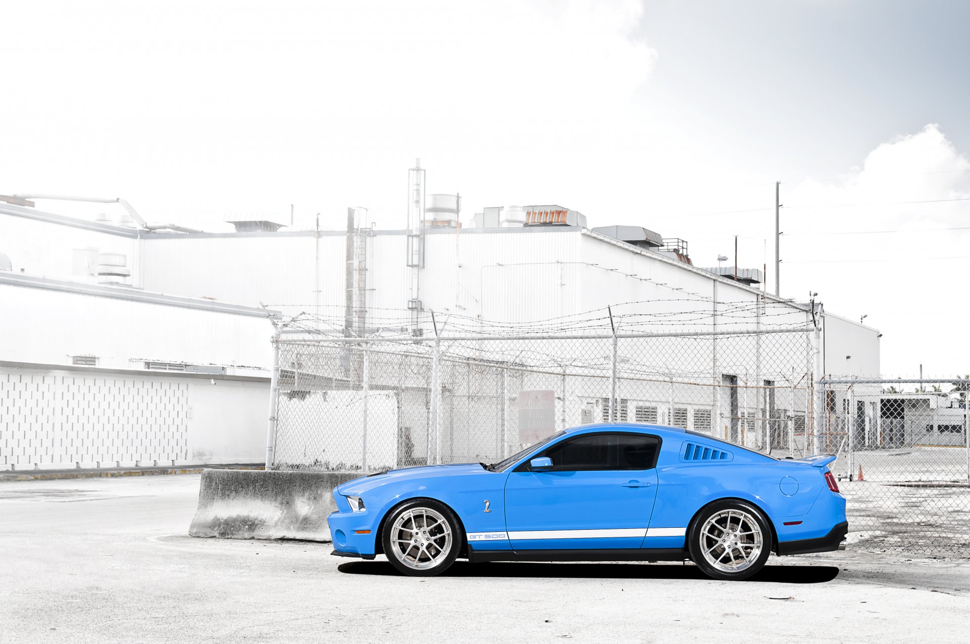 ford mustang shelby gt500 blue light blue sports stripes muscle car fence mesh concrete block